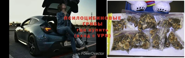 спайс Надым