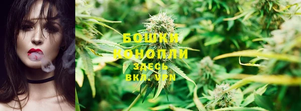 экстази Михайлов